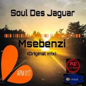 Soul Des Jaguar - Msebenzi  (Original Mix)